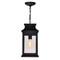 Cwi Lighting Milford 1 Light Outdoor Black Pendant 0418P7S-1 - alternate 3